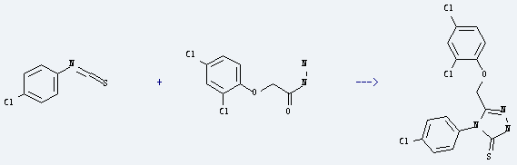 Aceticacid, 2-(2,4-dichlorophenoxy)-, hydrazide is used to produce 4-(4-chloro-phenyl)-5-(2,4-dichloro-phenoxymethyl)-2,4-dihydro-[1,2,4]triazole-3-thione by reaction with 1-chloro-4-isothiocyanato-benzene.